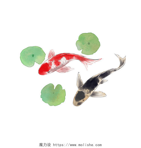 中国风手绘锦鲤